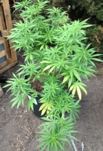 IMG_0841.webp IMG_0841.webp