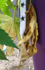 IMG_0844.webp IMG_0844.webp