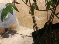 20210624_175742.webp
