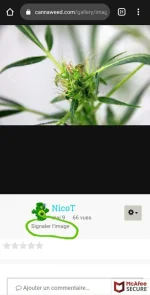 Screenshot_20210527-091112_Chrome.webp