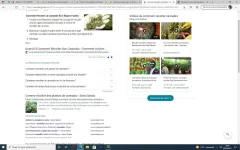 Capture.webp