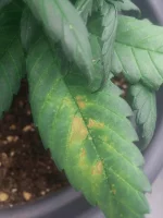 20150911_235646.webp