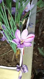 IMG_20151021_182030877.webp