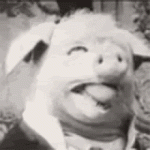iroiro07-pig.gif