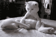 elf-movie.gif