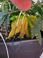 20210923_170657.webp