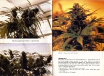 sb87r-2.webp