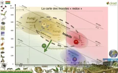carte des monde redox.webp