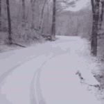 snow-run.gif