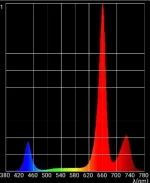 xh8.webp