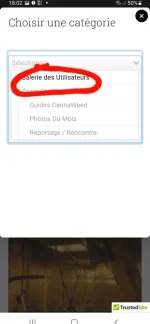 Screenshot_20220121-180219_Chrome.webp