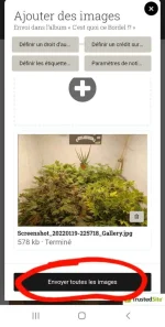 Screenshot_20220121-180349_Chrome.webp Screenshot_20220121-180349_Chrome.webp