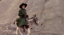defunes-ane.gif defunes-ane.gif