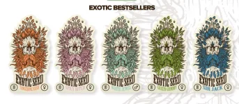 exo seeds.webp exo seeds.webp
