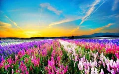 tkzxwtp3uil.webp