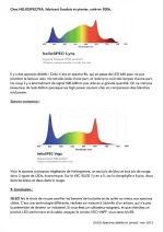 ISLED umolj page 7.webp