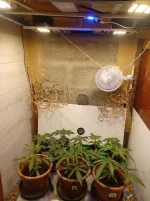 Screenshot_20220121-002816_Gallery.webp