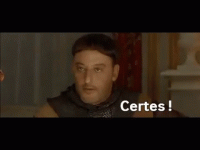 les-visiteurs-certes.gif