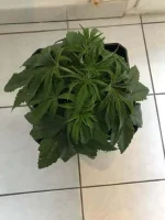 274877559_4963285427062334_6783504730080812462_n.webp