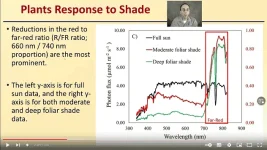 image.webp image.webp