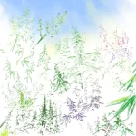 bghhj2.webp