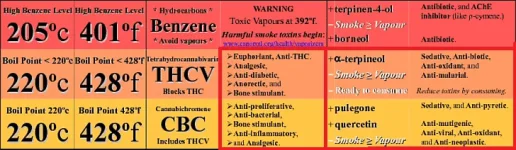 Point d'ébulition cannabis (quand ça s'évapore pour la vaporisation) (2).webp