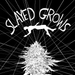 slayedgrowssketchfinal.webp