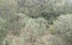 spot1-1.webp