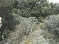 spot2-1.webp