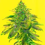 bud222.webp