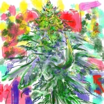 bud255.webp