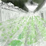 serrefocal.webp