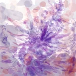 beuh rosé.webp