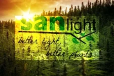 Concours Sanlight.webp