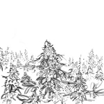 beuhukrainedessin1.webp