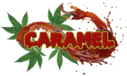 Caramel1.webp