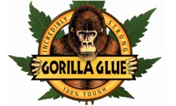 Gorillaglue1.webp
