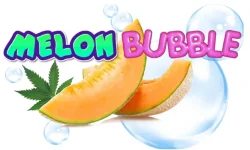 Melonbubble1.webp