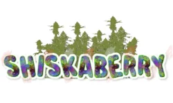 Shiskaberry1.webp
