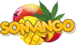 Somango1.webp