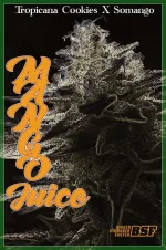 mj2.webp