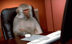 boring-monkey.gif