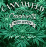 concours cannaweed.webp