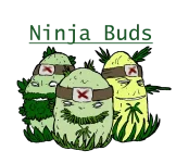 Ninja buds Colo1ADV.webp