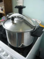 Cocotte 3.webp Cocotte 3.webp