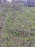 IMG_20160407_092730.webp