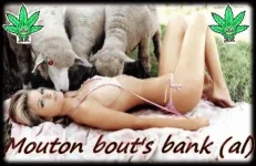Moouton bout's bank (al).webp