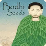 bodhi seeds.webp