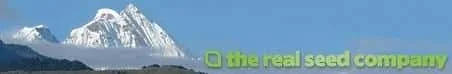 the real seed.webp