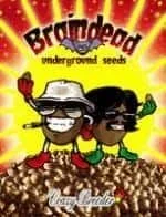 braindead.webp